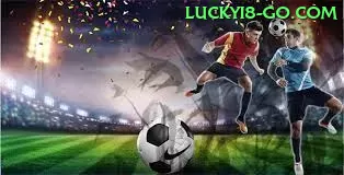 Descubra audemarspg: Guia Prático Para Iniciantes e Experts - ✨ apk